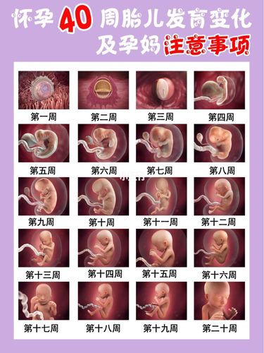 国内第三代代孕宝宝什么时候能看见